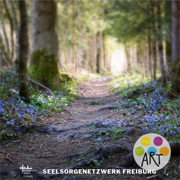https://seelsorgenetzwerk-freiburg.de/