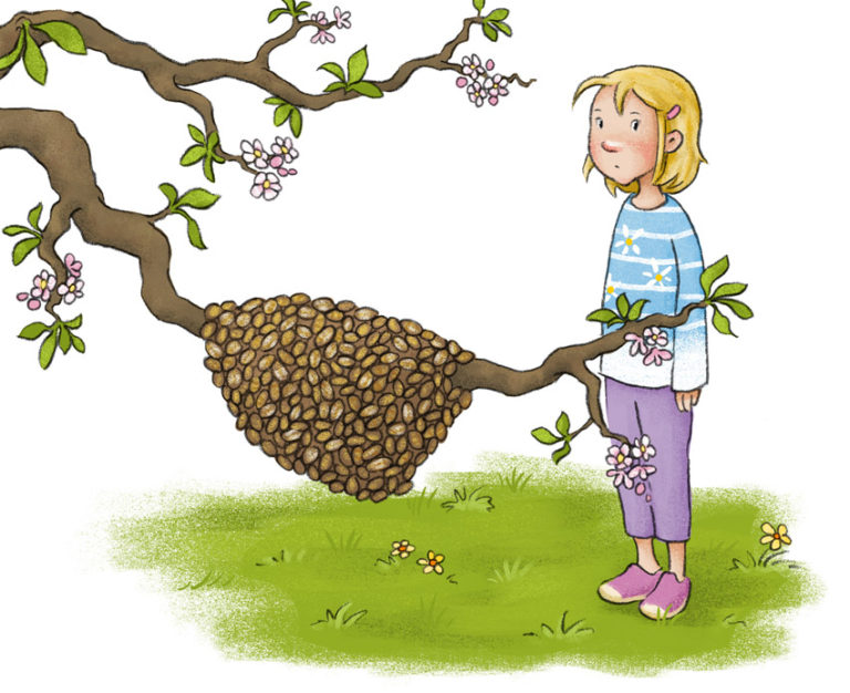 Lies mit mir! Die Bienenbande