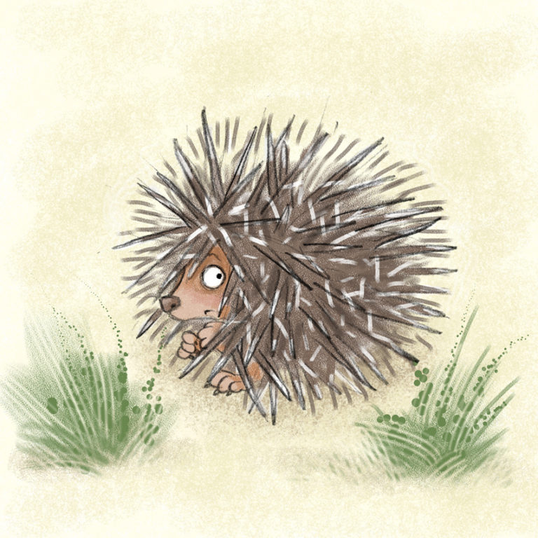 Dreisam3 Partnerschaftskurs Igel-Typ