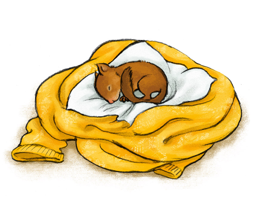 Lies mit mir! Leni und das Eichhörnchen