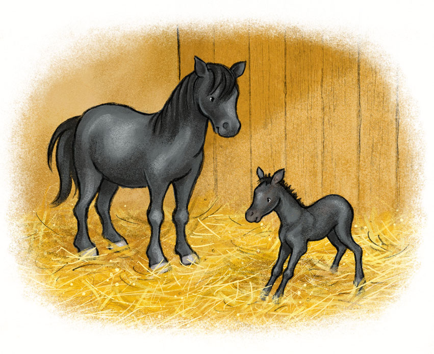 Lies mit mir! Annas Fohlen