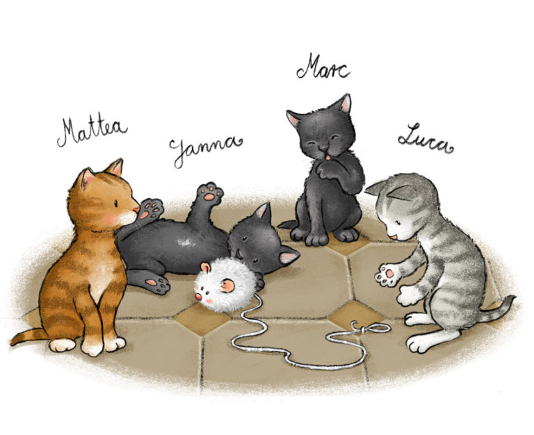 Lies mit mir! Ein Kätzchen sorgt für Wirbel