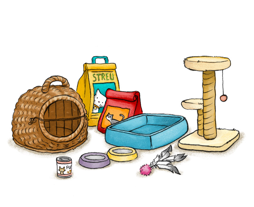 Lies mit mir! Ein Kätzchen sorgt für Wirbel