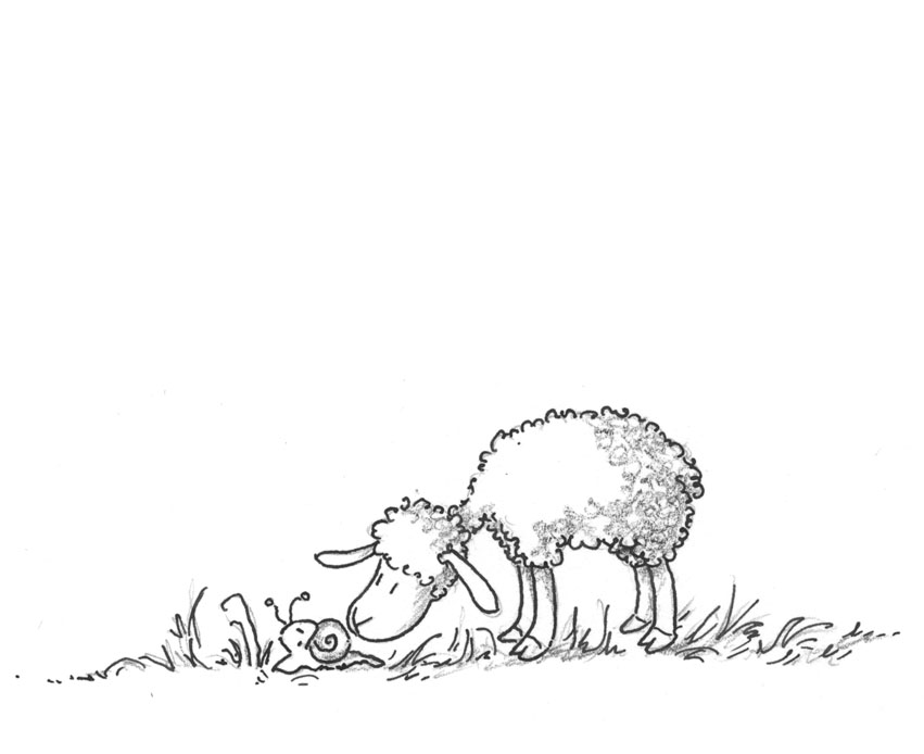 Simon und der König im Stall Adventskalender