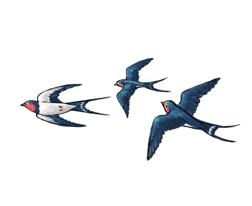 Lies mit mir! Annas Fohlen